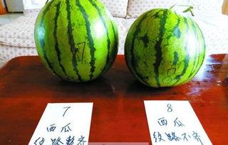 梦见挑瓜吃,揭秘挑瓜吃背后的寓意与启示