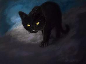 黑猫吃瓜网站,揭秘娱乐圈幕后真相，带你领略明星们的真实生活