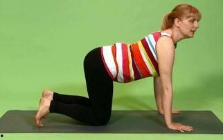 瑜伽吃瓜视频,揭秘瑜伽圈里的趣味瞬间