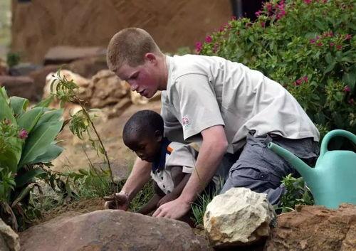 英国吃瓜,揭秘王室与贵族的饮食秘闻