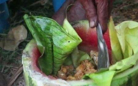 88岁老人吃红瓜,揭秘长寿之道