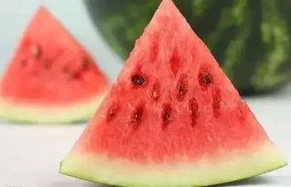 冬天吃瓜,冬季吃瓜指南