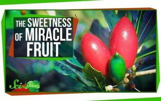 带你吃瓜吃奇葩零食