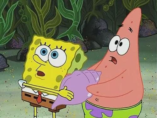 神奇海螺日记吃瓜,揭秘吃瓜背后的秘密世界