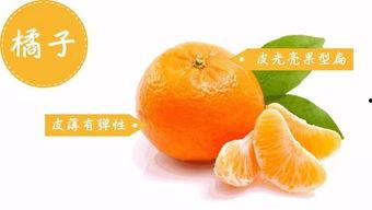 雪圈吃瓜王中王,揭秘冰雪娱乐界的“瓜王争霸”