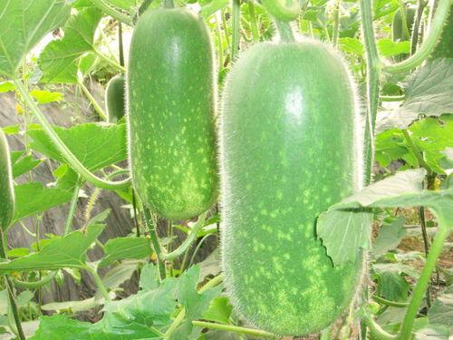 吃瓜大全,揭秘娱乐圈幕后故事，带你领略明星们的真实生活