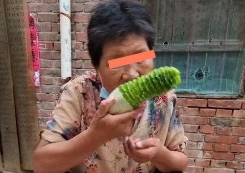 贾婆婆吃瓜全集,揭秘娱乐圈背后的秘密与笑料