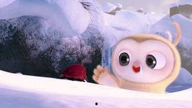 搞笑吃瓜失败视频,这瓜太硬了