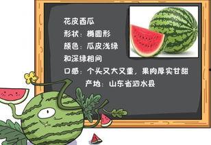 历史吃瓜书
