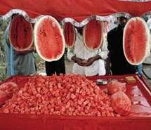 风情吃瓜,揭秘美食背后的文化风情