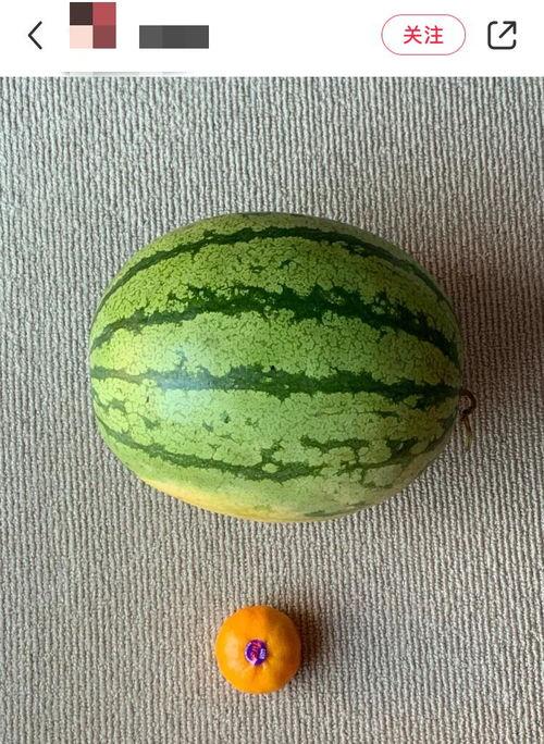 中国人吃瓜vs老外吃瓜