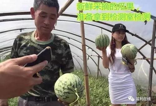 瓜农吃瓜群众正在直播