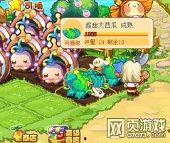 温岭洛克赛吃瓜,揭秘背后的真相与争议